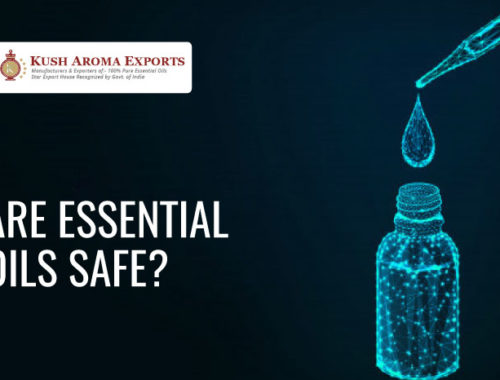 are essential oils safe