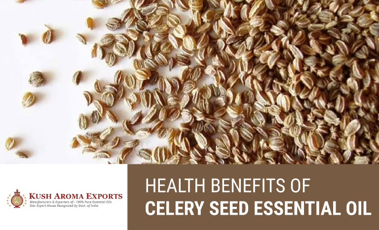 health-benefits-of-celery-seed-essential-oil