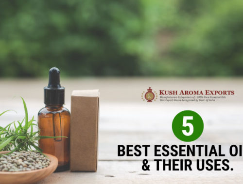 5-best-essential-oils-their-uses.jpg
