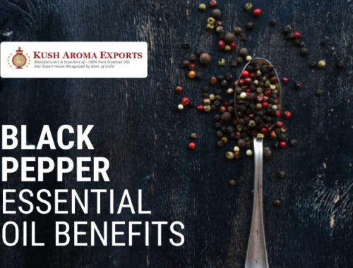 Black-Pepper-Essential-Oil-Benefits.jpg