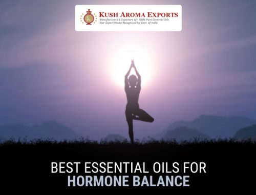best-essential-oils-for-hormone-balance.jpg
