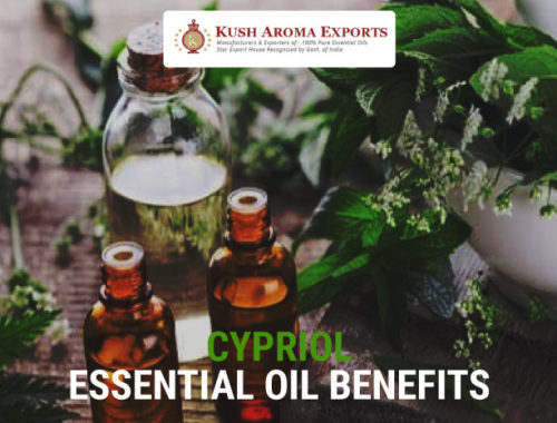 cypriol-essential-oil-benefits