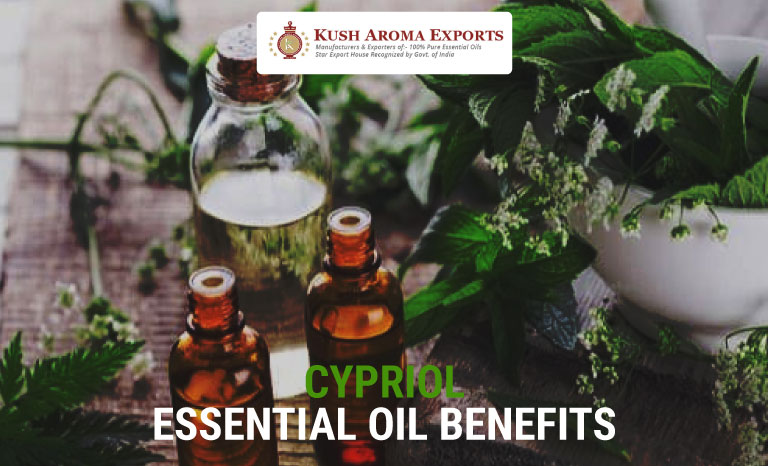 cypriol-essential-oil-benefits