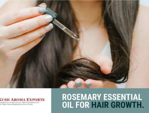 rosemary-essential-oil-for-hair-growth.jpg