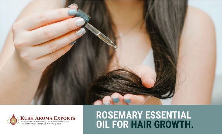 rosemary-essential-oil-for-hair-growth.jpg