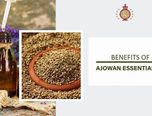 ajowan essential oil benefits