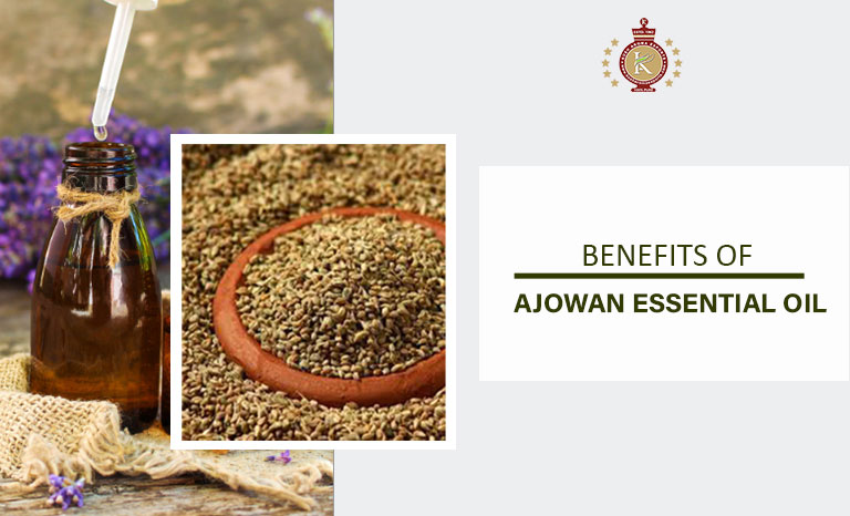 ajowan essential oil benefits