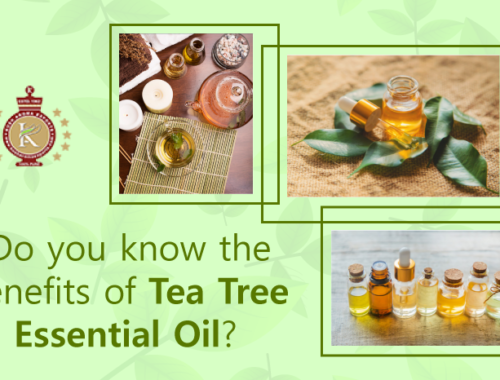 tea tree essential oil benefits