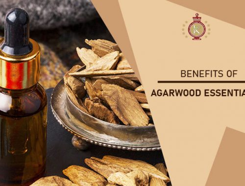 agarwood essential oil benefits