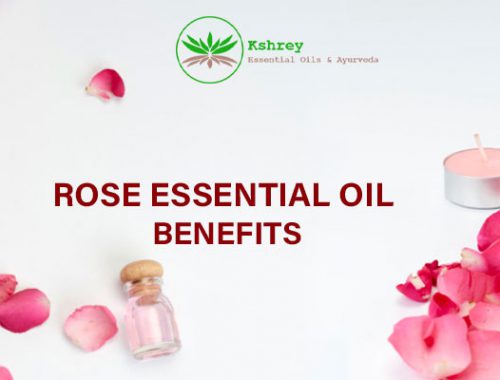 rose essential oil benefits