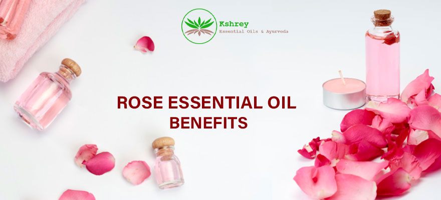 rose essential oil benefits