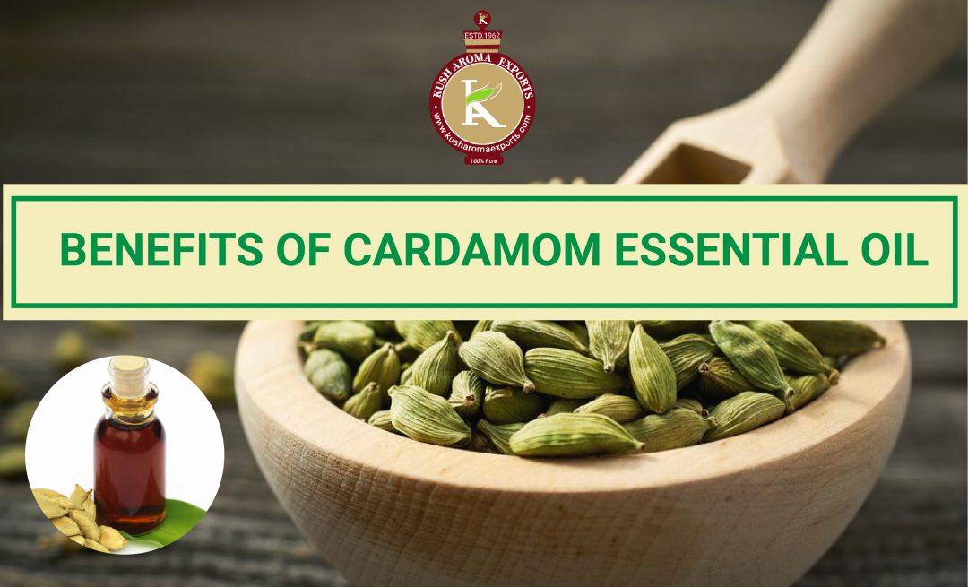 benefits of cardamom essential oil