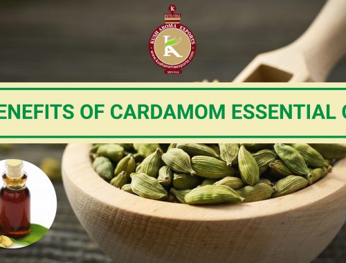 benefits of cardamom essential oil