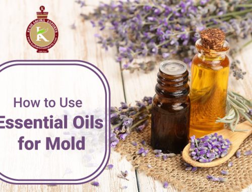 essential oils for mold