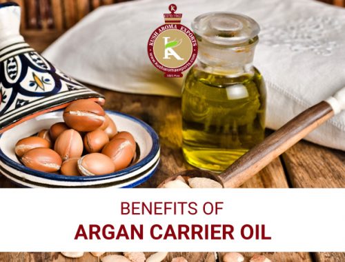 benefits of argan carrier oil