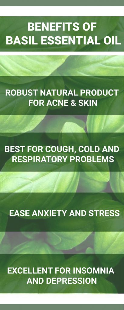 benefits of basil essential oil