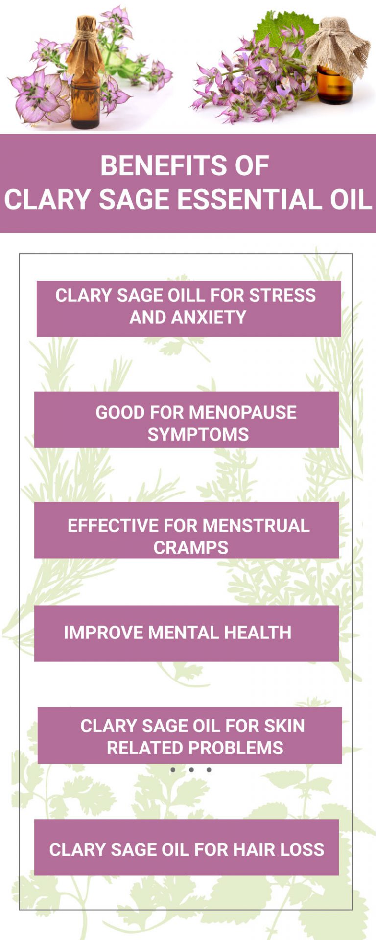 Benefits of Clary Sage Essential Oil Clary Sage Oil for Hair Skin