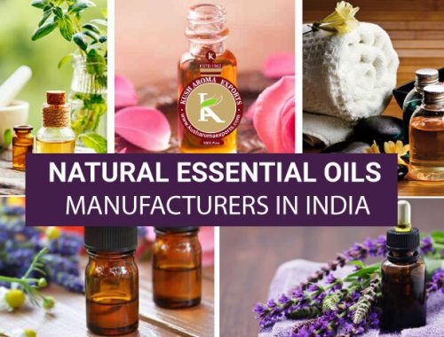 natural essential oils manufacturer in India