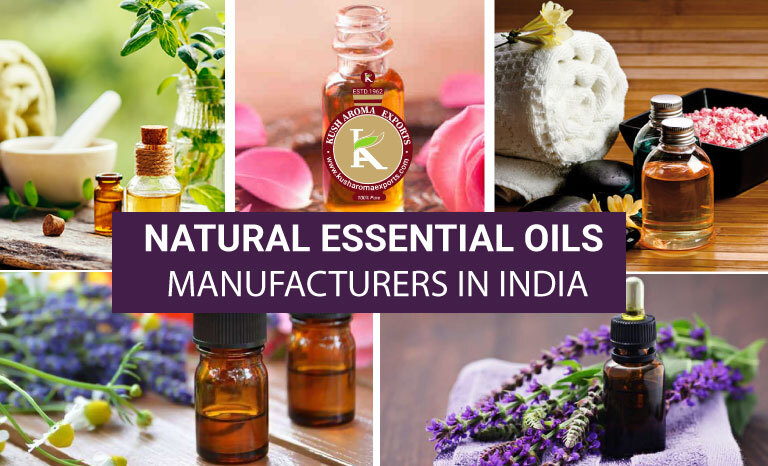 natural essential oils manufacturer in India