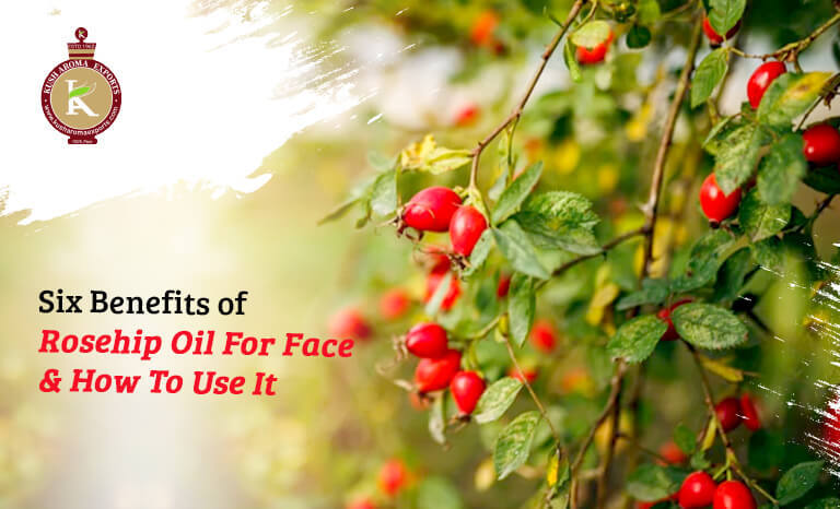 benefits of rosehip oil for face