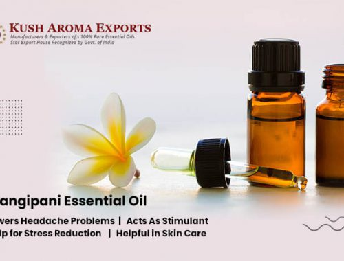 Frangipani Essential Oil