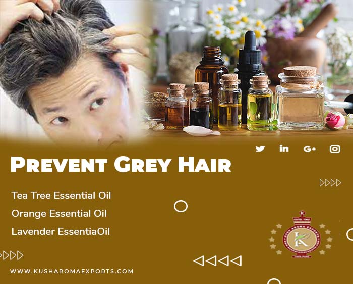 Best Essential Oils For Greying Hair | Kush Aroma Exports