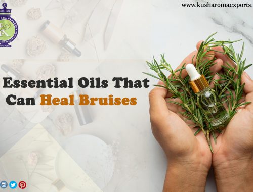 essential oil manufacturers in kannauj