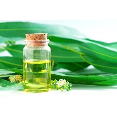 essential oil manufacturers in kannauj