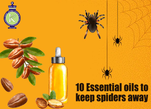 9 Essential Oils That Can Help Repel Bugs