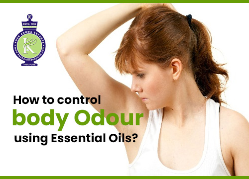 Essential Oil Blends As Body Oils - Kusharomaexports