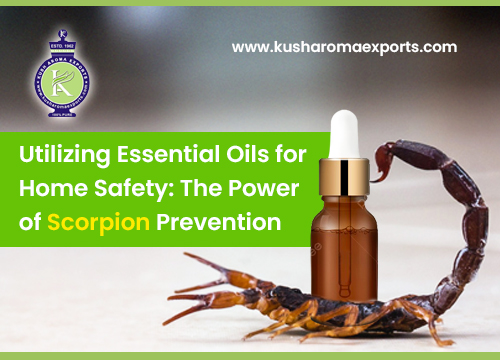 Essential Oils for Home Safety: The Power of Scorpion Prevention