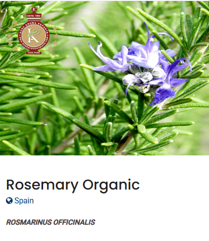 Rosemary organic