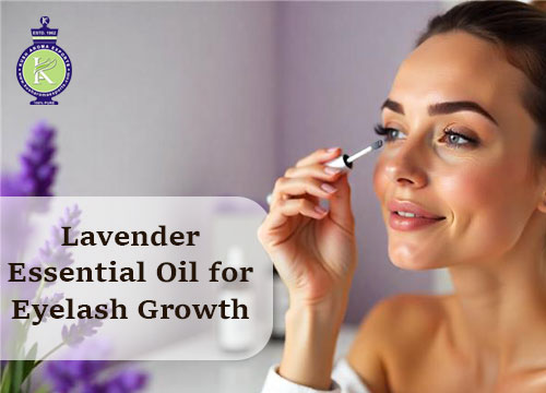 Lavender essential oil for eyelashes
