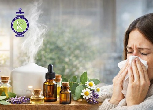 Essential Oils for Dry Nose Relief