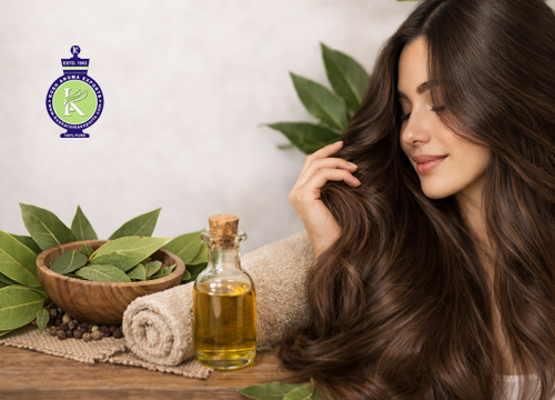 Woman massaging long shiny hair with bay leaf oil bottle and fresh bay leaves showcasing bay leaf benefits for hair growth and nourishment