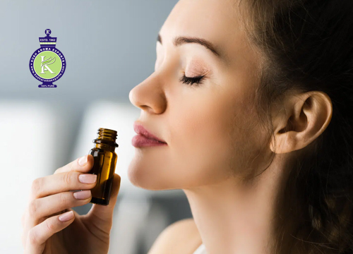 Essential oils for headaches and stress including peppermint, lavender, eucalyptus, rosemary, and chamomile oils arranged with fresh herbs and flowers, natural aromatherapy wellness concept for relaxation and headache relief.