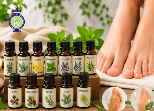 Collection of essential oils including tea tree, peppermint, lavender, eucalyptus, and lemongrass displayed beside healthy feet for natural foot odor control