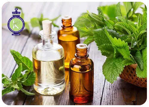 Patchouli essential oil in amber and clear glass bottles with fresh green patchouli leaves