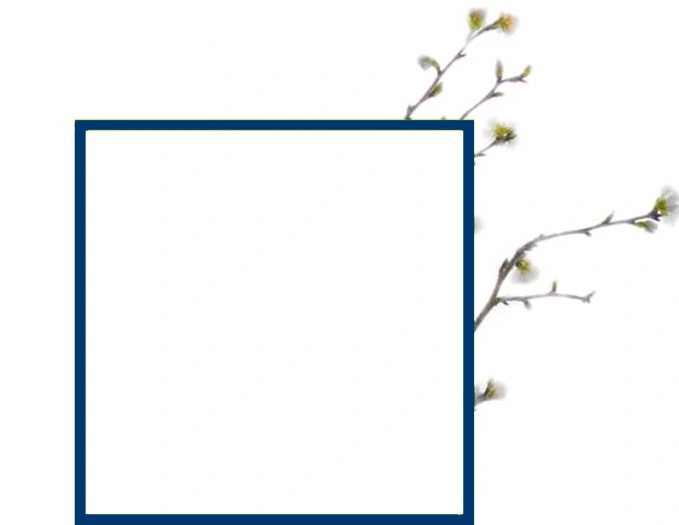 main bg
