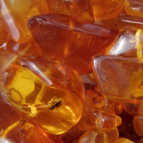 Amber Essential Oils 3
