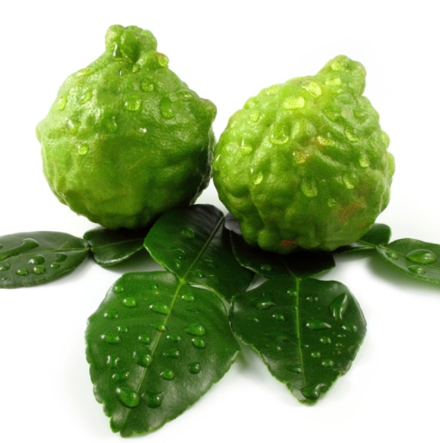 Bergamot Organic Essential Oil 4