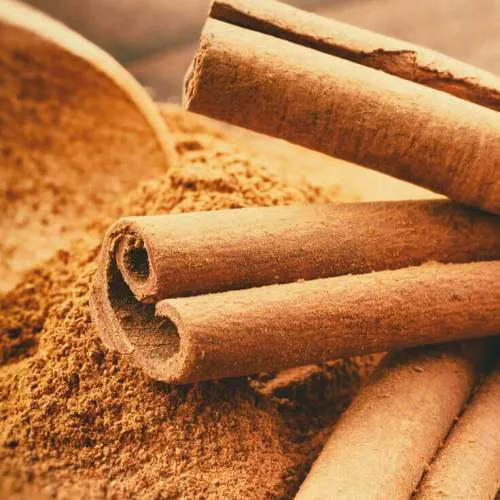 Cinnamon Bark 2