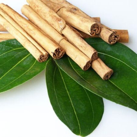 Cinnamon Leaf Essential Oil 2