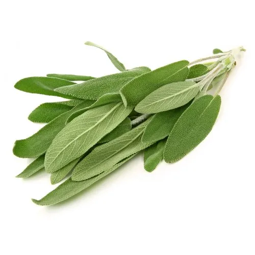 Sage  4