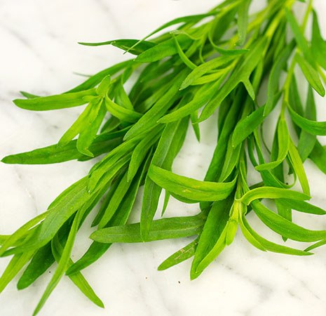 Tarragon Essential Oil 2