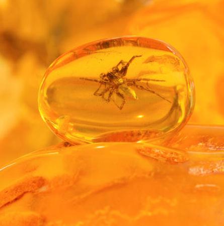 Amber Essential Oils 5