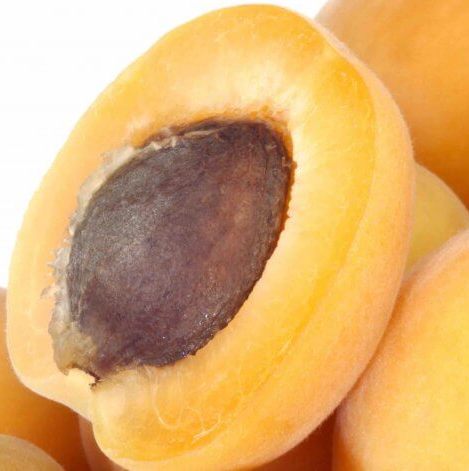 Apricot Kernel Carrier Oil - Cosmetic Grade - Refined 4