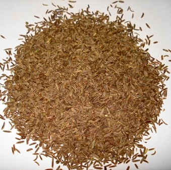 Caraway Essential Oil 4