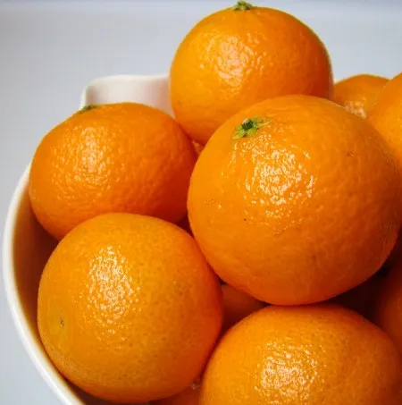 Clementine Essential Oil 4