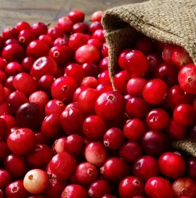 Cranberry Seed Oil  5